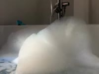 Femme libre souvent accompagner aime faire plaisir aux autres